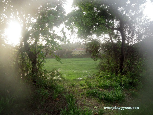 friday-reflections-1-july-2016