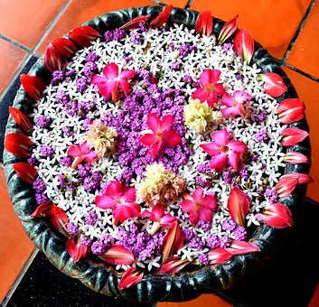 flower-1735246__340