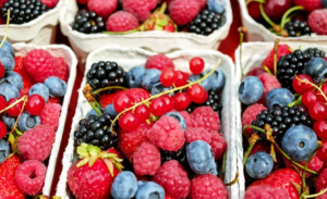 berries_avibrantpalette
