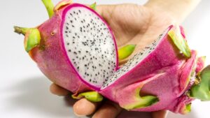 dragon fruit_avibrantpalette
